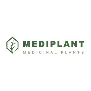 Mediplant Logo